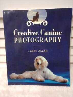 Creative canine photography
